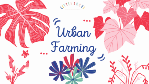 1-judul urban farming