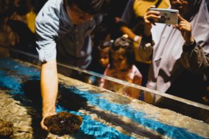 spot foto kolam sentuh jakarta aquarium