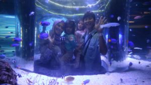 spot foto tengah aquarium